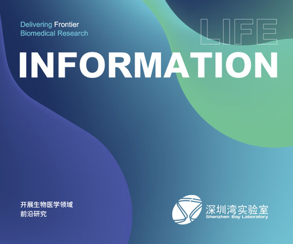 vi設計哪家好_選對VI設計公司品牌優勢無限提升