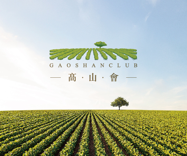 醫療器械公司VI設計：色彩劃分產品系列的藝術